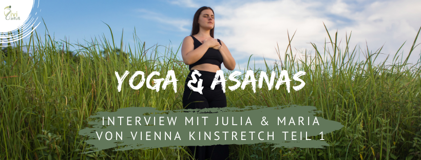 Yoga, Asanas und falscher Ehrgeiz: Julia und Maria von Vienna Kinstretch