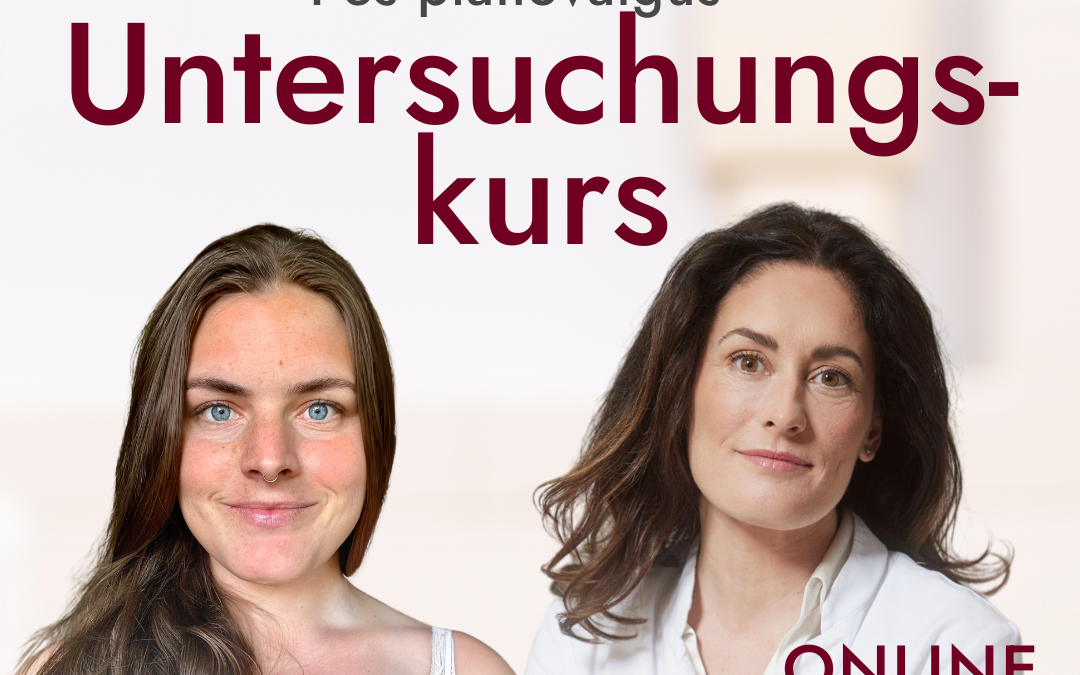 Untersuchungskurs – Pes planovalgus