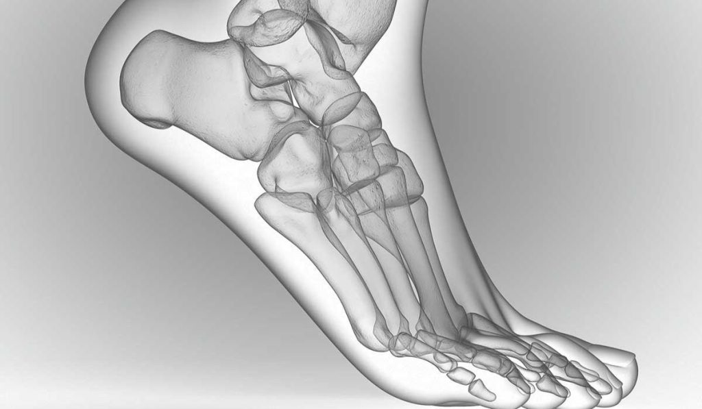 Hallux valgus Verstehen & Trainieren 1 Hallux valgus Übungen als Funktionelle Fußtherapie.