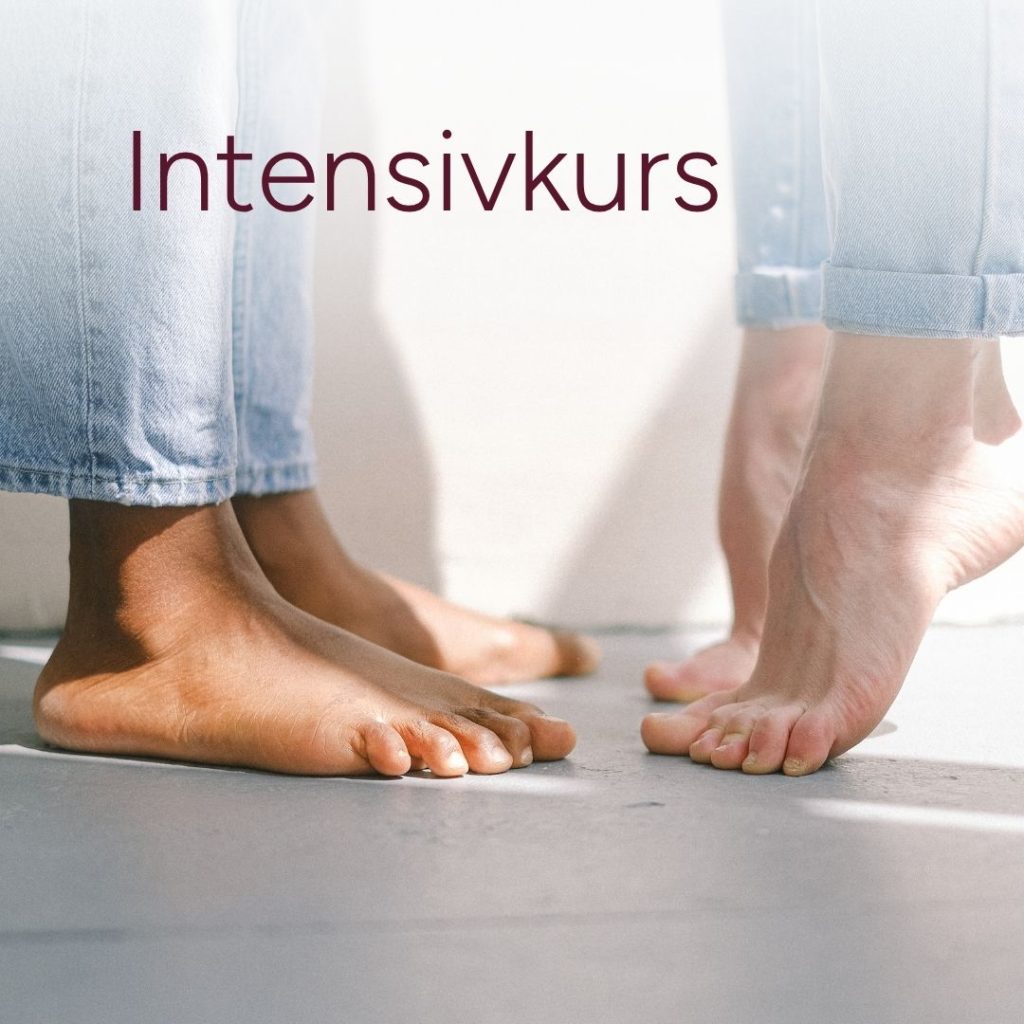 Online-Kurse 4 shop teaser intensivkurs