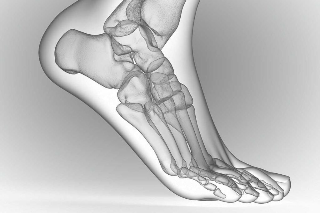 Halgus valgus Übungen. Hallux valgus Verstehen und Trainieren