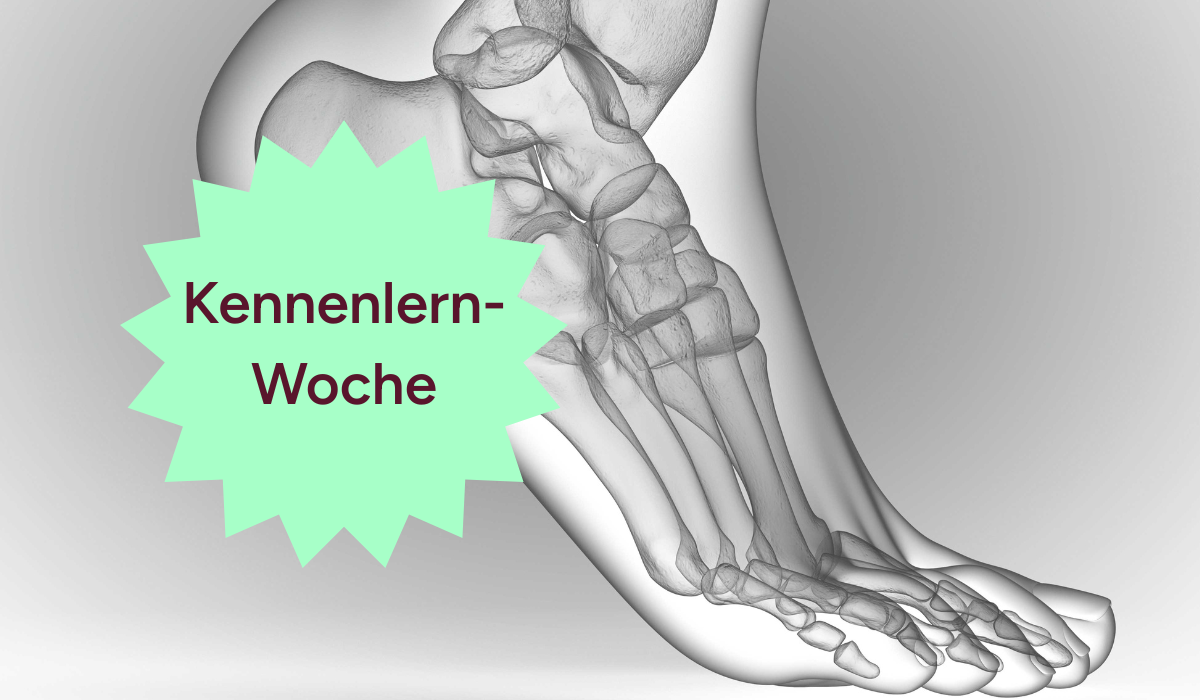 Kennenlern-Woche Hallux valgus Trainieren 35 Keyvisual Kennenlern-Woche Hallux valgus Verstehen & Trainieren