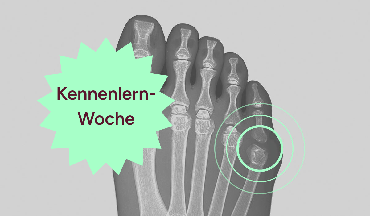 Kennenlern-Wochen 3 Keyvisual KW Schneiderballen